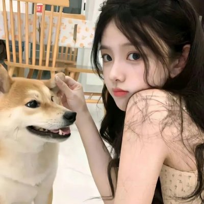 傅总您的金丝雀变凤凰了